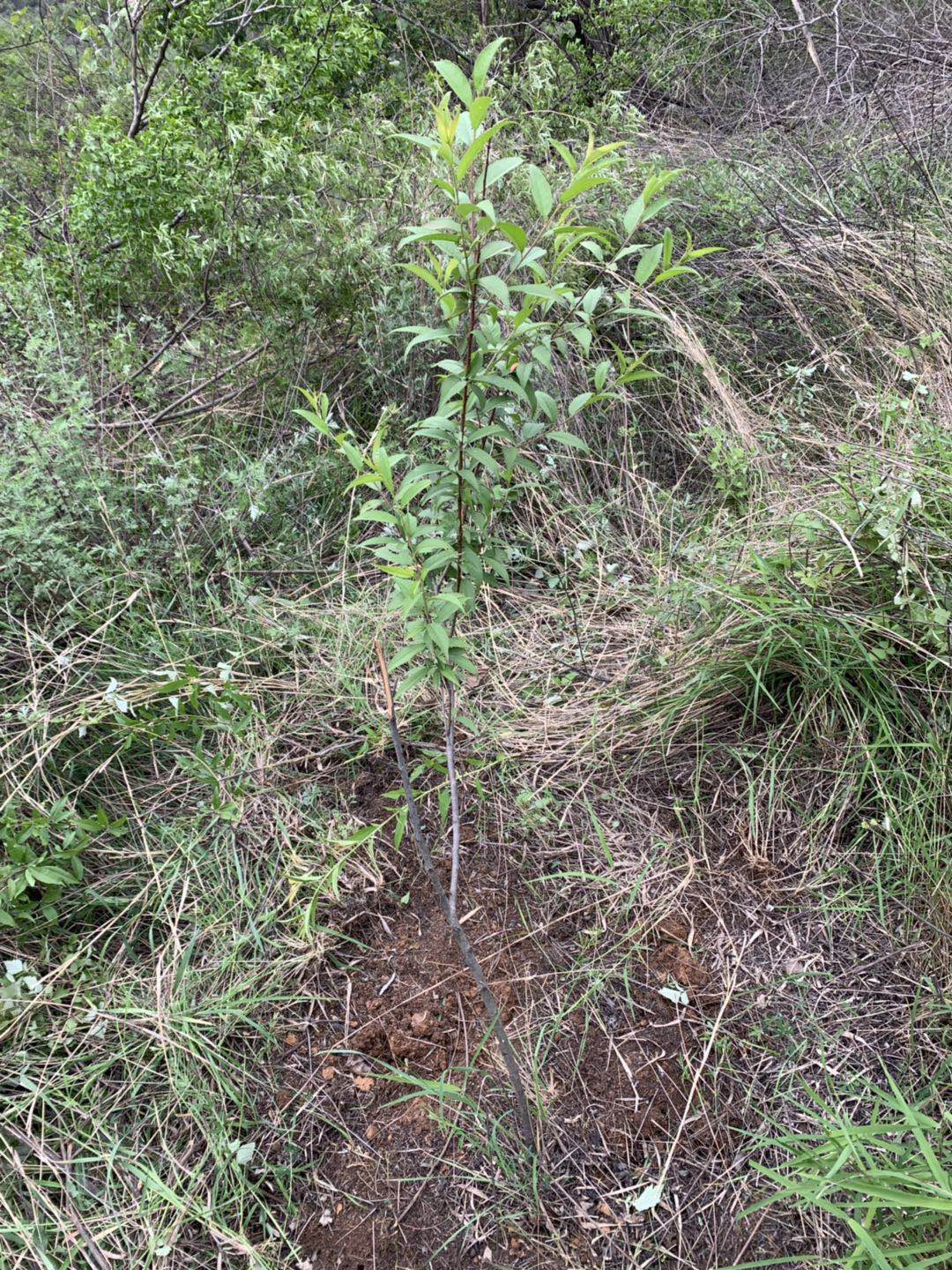 ����̿����ô���Ͱ�������(bi��o)����