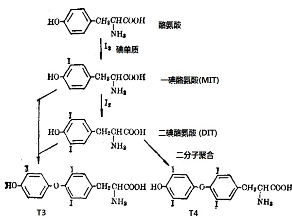 ����̿�����⻯��Ч��������