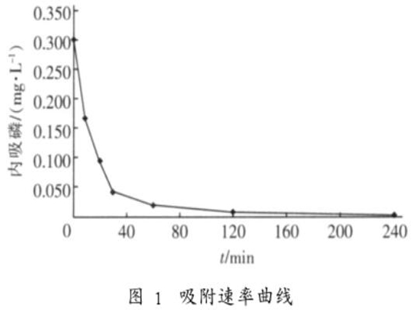 �۠����̿��(du��)��(n��i)���׵���������